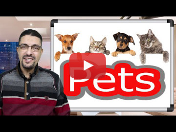 Learn Arabic Vocabulary - Pets